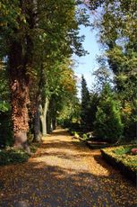 Herbst-Friedhof 025.jpg